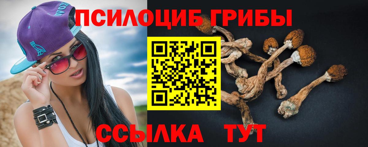 Выборг  хочу   Вход с VPN  Галлюциногенные грибы GOLDEN TEACHER 